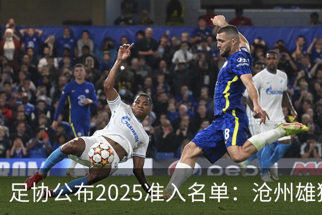 足协公布2025准入名单：沧州雄狮、广州队无缘